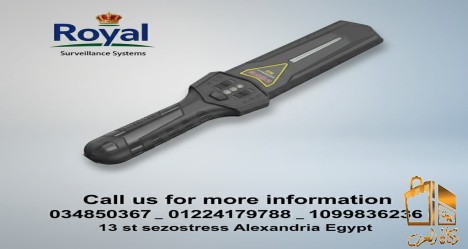 كاشف المعادن اليدوي